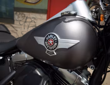 Logo 2016 Harley-Davidson FLSTFB Fat Boy Lo '2015–16