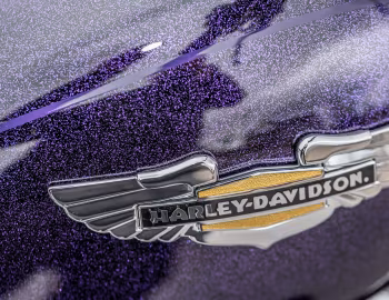 2012–15 Harley-Davidson FLSTN Softail Deluxe '2011–15