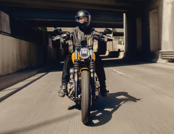 2025–26 Harley-Davidson FXBB Street Bob '2024–26