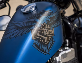 Logo 2018 Harley-Davidson XL1200X ANX Forty-Eight "115th Anniversary" '2017–18