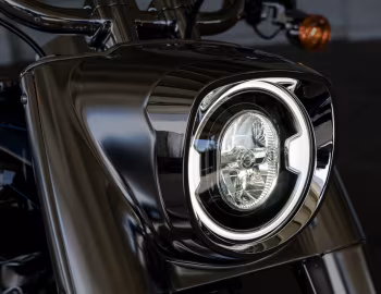 2018 Harley-Davidson FLFBS ANV Fat Boy 114 "115th Anniversary" '2017–18