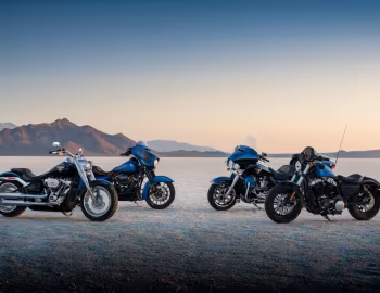 Harley-Davidson FLFBS ANV Fat Boy 114 "115th Anniversary", Harley-Davidson FLHXS ANX Street Glide Special "115th Anniversary", Harley-Davidson FLHTK ANV Electra Glide Ultra Limited "115th Anniversary", Harley-Davidson XL1200X ANX Forty-Eight "115th Anniversary"