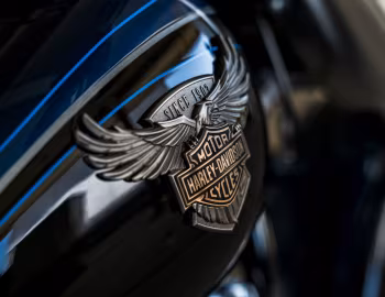 2018 Harley-Davidson FLFBS ANV Fat Boy 114 "115th Anniversary" '2017–18