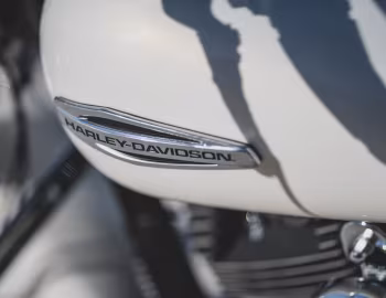 2014 Harley-Davidson FLD Dyna Switchback (#1HD1GZM12EC324790)