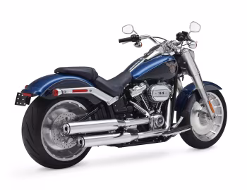 2018 Harley-Davidson FLFBS ANV Fat Boy 114 "115th Anniversary" '2017–18
