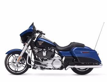 2018 Harley-Davidson FLHX ANV Street Glide "115th Anniversary" '2017–18