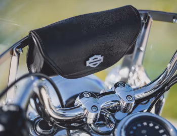 Intérieur 2014 Harley-Davidson FLD Dyna Switchback (#1HD1GZM12EC324790)