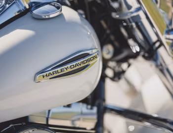 2014 Harley-Davidson FLD Dyna Switchback (#1HD1GZM12EC324790)