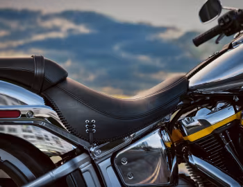 Harley-Davidson FLSTFI Fat Boy Gray Ghost [Worldwide] '2025
