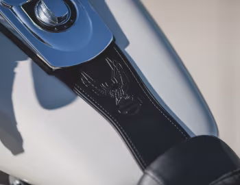 Intérieur 2014 Harley-Davidson FLD Dyna Switchback (#1HD1GZM12EC324790)