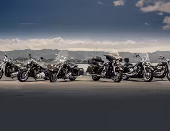 Harley-Davidson FXDC Dyna Super Glide Custom "110th Anniversary", Harley-Davidson FLSTFB ANV Fat Boy Lo "110th Anniversary", Harley-Davidson FLHR ANV Road King "110th Anniversary", Harley-Davidson FLHTK ANV Electra Glide Ultra Limited "110th Anniversary", Harley-Davidson FLSTC ANV Heritage Softail Classic "110th Anniversary", Harley-Davidson XL1200C Sportster Custom "110th Anniversary"