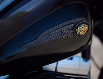 2013 Harley-Davidson FLSTFB ANV Fat Boy Lo "110th Anniversary" '2012–13