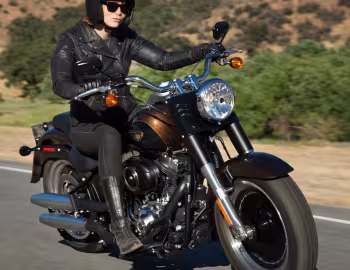 2013 Harley-Davidson FLSTFB ANV Fat Boy Lo "110th Anniversary" '2012–13