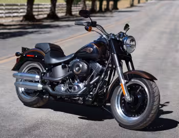 2013 Harley-Davidson FLSTFB ANV Fat Boy Lo "110th Anniversary" '2012–13