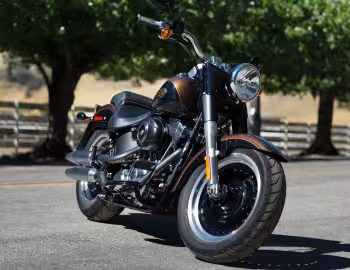 2013 Harley-Davidson FLSTFB ANV Fat Boy Lo "110th Anniversary" '2012–13