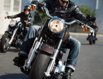 2013 Harley-Davidson FLSTFB ANV Fat Boy Lo "110th Anniversary" '2012–13