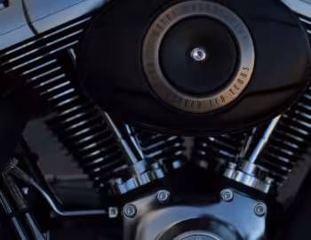 Bajo el capó 2013 Harley-Davidson FLSTFB ANV Fat Boy Lo "110th Anniversary" '2012–13