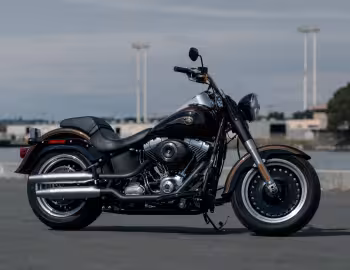 2013 Harley-Davidson FLSTFB ANV Fat Boy Lo "110th Anniversary" '2012–13