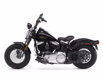 2008 Harley-Davidson FLSTSB Softail Cross Bones '2007–08
