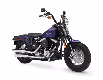 2009–10 Harley-Davidson FLSTSB Cross Bones '2008–10