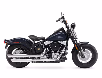 2009–10 Harley-Davidson FLSTSB Cross Bones '2008–10