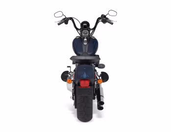 2009–10 Harley-Davidson FLSTSB Cross Bones '2008–10