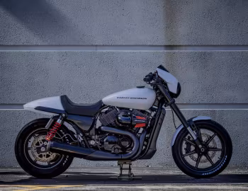 Harley-Davidson RDX 800 Custom Concept '10.2013