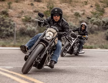 Harley-Davidson VRSCDX Night Rod Special, Harley-Davidson VRSCF V-Rod Muscle