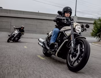 Harley-Davidson VRSCDX Night Rod Special, Harley-Davidson VRSCF V-Rod Muscle