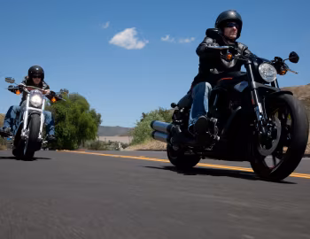 Harley-Davidson VRSCDX Night Rod Special, Harley-Davidson VRSCDX ANV V-Rod "10th Anniversary Edition"