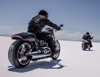 Harley-Davidson VRSCF V-Rod Muscle, Harley-Davidson VRSCDX Night Rod Special