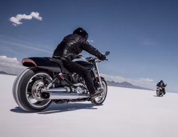 Harley-Davidson VRSCF V-Rod Muscle, Harley-Davidson VRSCDX Night Rod Special