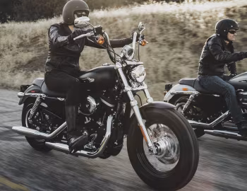 Harley-Davidson XL1200CB Sportster Custom Limited, Harley-Davidson XL1200C Sportster Custom