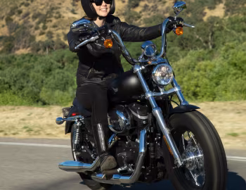 2013 Harley-Davidson XL1200CB Sportster Custom Limited '2012–13