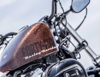 2014–15 Harley-Davidson XL1200X Sportster Forty-Eight '2013–15