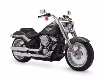 2018 Harley-Davidson FLFB Fat Boy '2017–18
