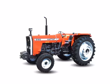 Hattat 290 2WD '2013–pr.