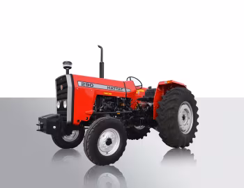 Hattat 290 2WD '2013–pr.