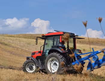 Hattat C 3065 Cab '2016–pr.