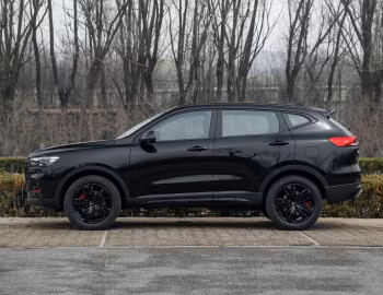 Haval H6 GuoChao GT '2021–н.ч.