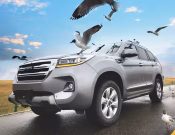 Haval H9 [China] '2019–21