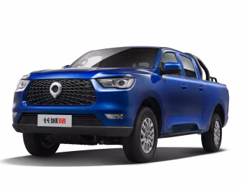 Great Wall Pao Commercial '2019–23