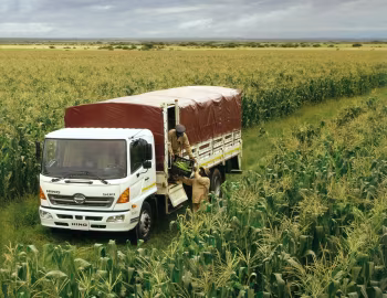 Hino 500 FG 1521 Chassis '2008–pr.