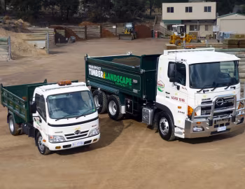 Hino