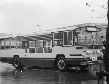 Hino Blue Ribbon
