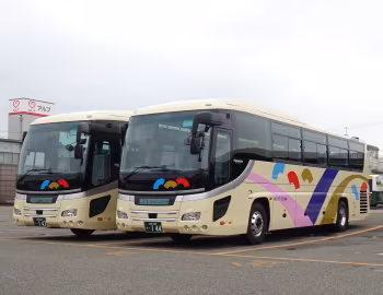 Hino S'elega Limited Edition '2005–????