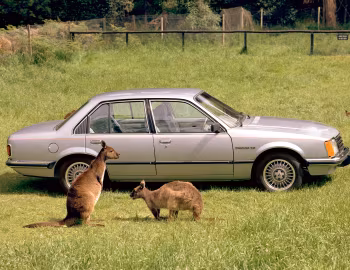 Holden Commodore SL/E (VB) '10.1978–03.1980