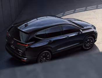 Honda Breeze Sport Turbo "Black Edition" '2019–22