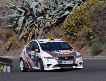 Honda Civic Type-R R3 (FN2) '2006–10
