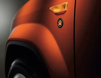 2010–11 Honda Element "Dog Friendly" Package [US-spec] (YH2) '11.2009–12.2010